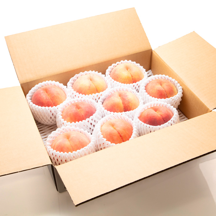 【定期便2回】山形の　もも＆ラ・フランス【令和8年産先行予約】FU23-797