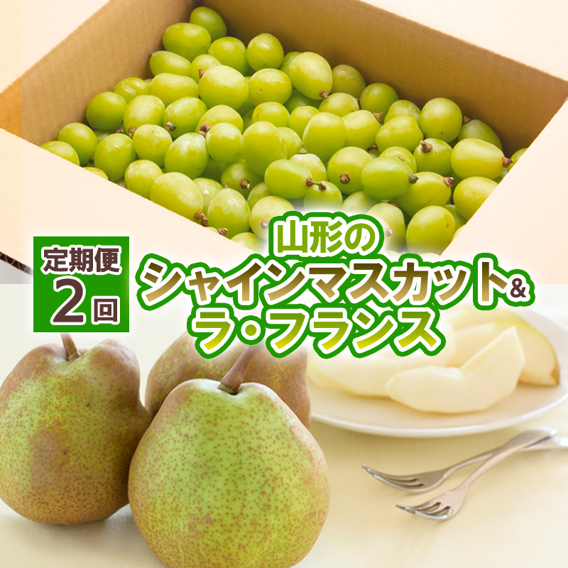 【定期便2回】山形の　シャインマスカット＆ラ・フランス【令和8年産先行予約】FU23-798