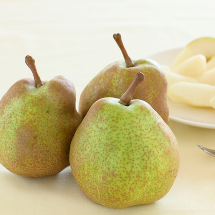 【定期便2回】山形の　シャインマスカット＆ラ・フランス【令和8年産先行予約】FU23-798