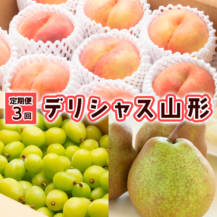 【定期便3回】デリシャス山形【令和8年産先行予約】FU23-799