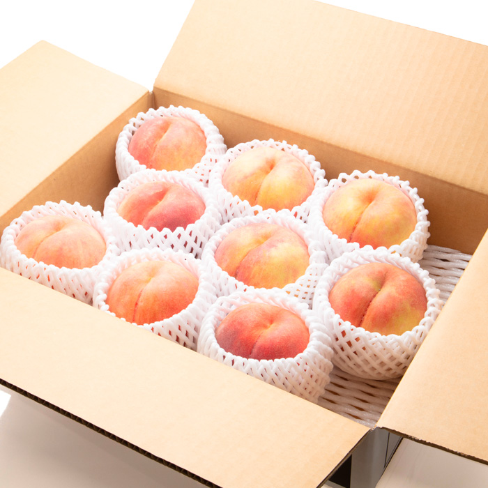 【定期便3回】デリシャス山形【令和8年産先行予約】FU23-799