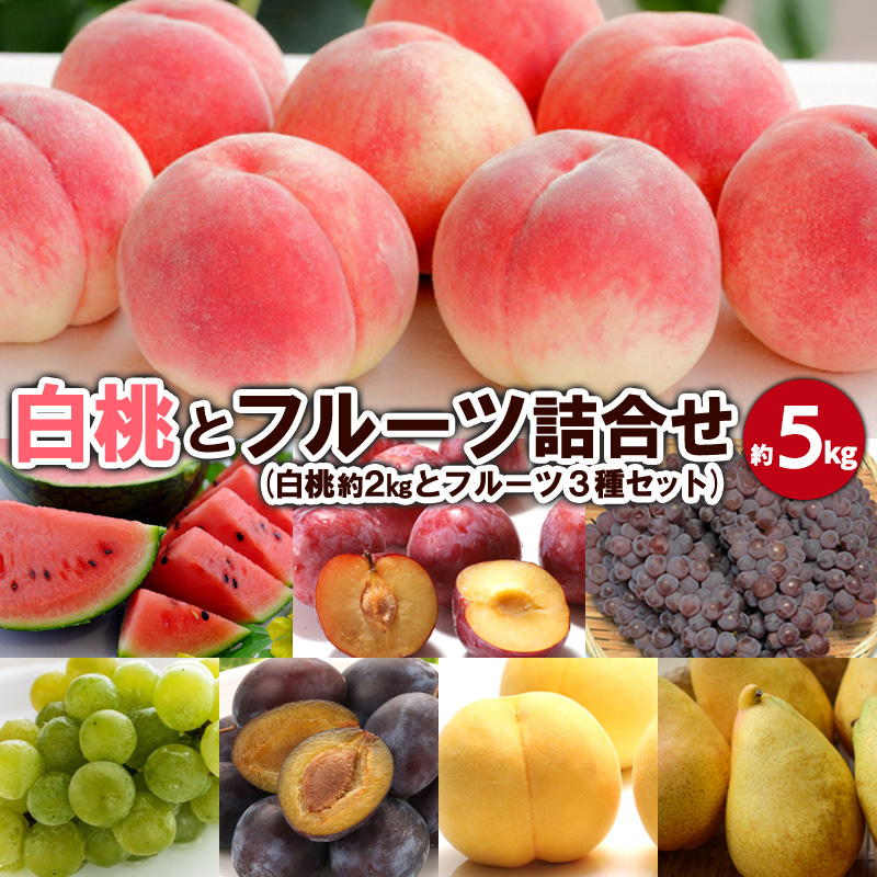 白桃とフルーツ詰合せ 約5kg 【令和8年産先行予約】FS23-801