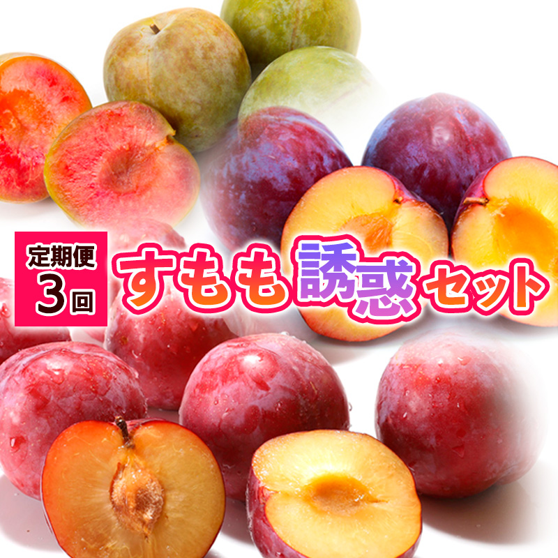 【定期便3回】すもも誘惑セット 【令和8年産先行予約】FS24-508