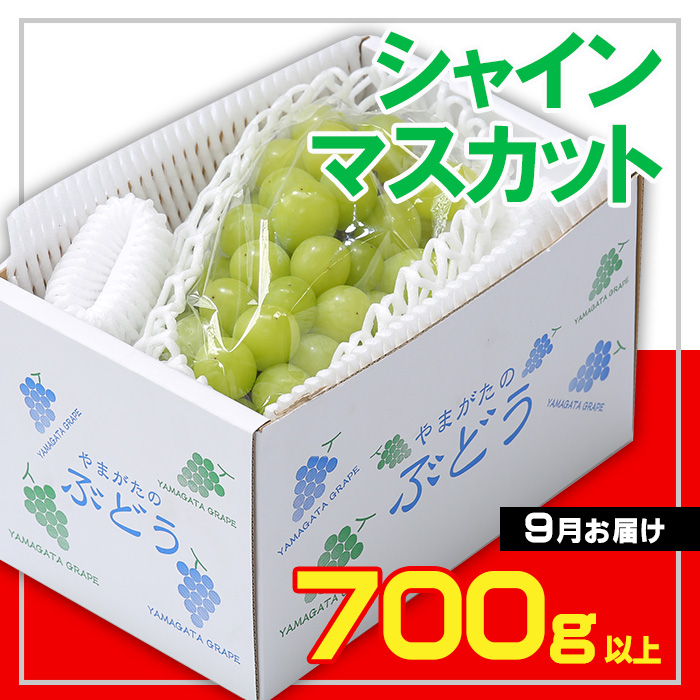 ☆フルーツ王国山形☆シャインマスカット 秀品 700g以上(1～2房)[9月お届け]  【令和7年産先行予約】FS23-733