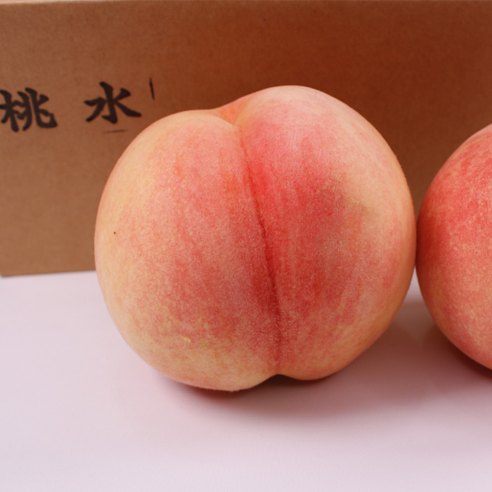 ☆フルーツ王国山形☆ 白桃(桃水) 秀品 2kg [かたい桃]【令和8年産先行予約】FS23-831