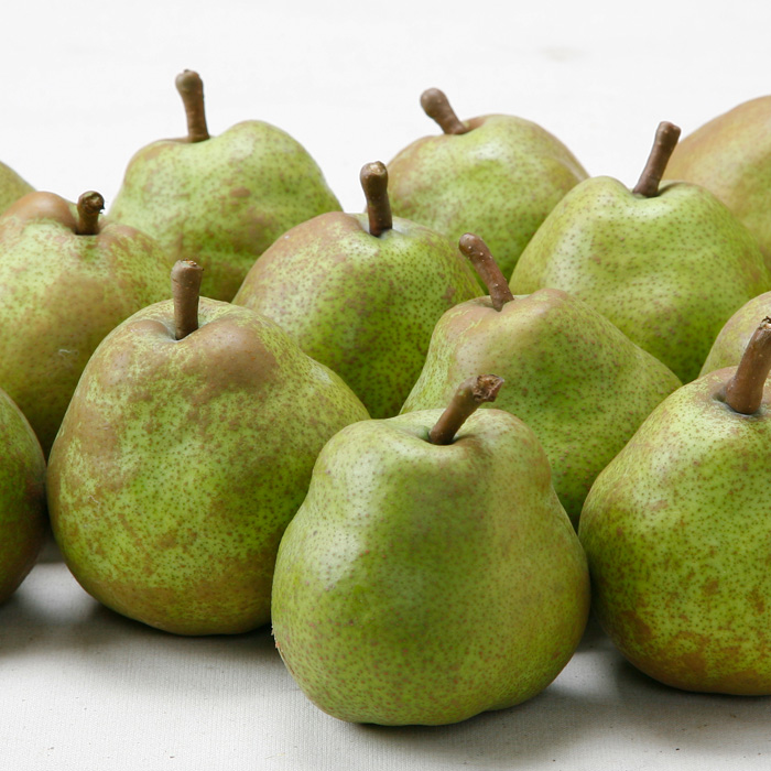 【定期便3回】☆フルーツ王国山形☆佐藤錦・白桃・ラフランス 【令和8年産先行予約】FS25-663