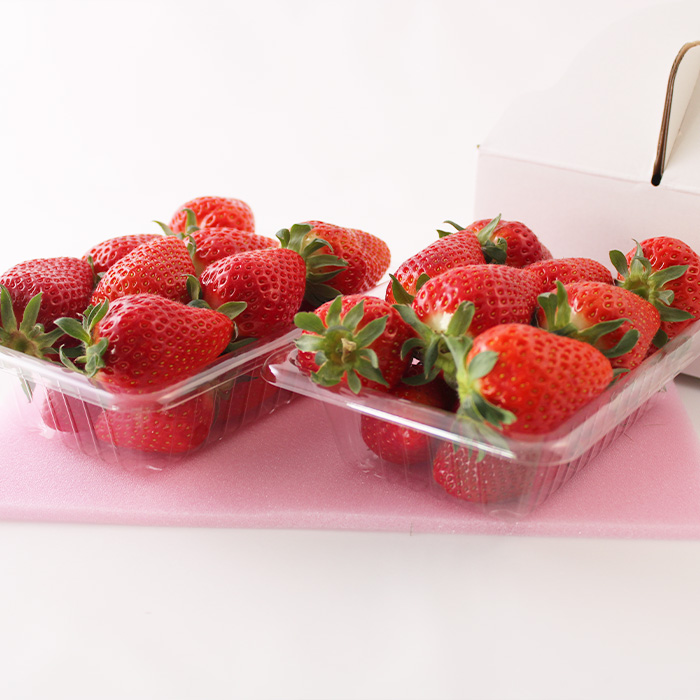 【定期便3回】☆フルーツ王国山形☆いちご・紅秀峰・シャインマスカット 【令和8年産先行予約】FS25-666