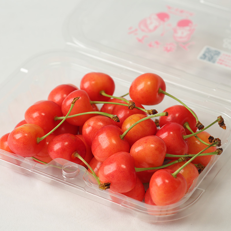 【定期便3回】☆フルーツ王国山形☆いちご・紅秀峰・シャインマスカット 【令和8年産先行予約】FS25-666