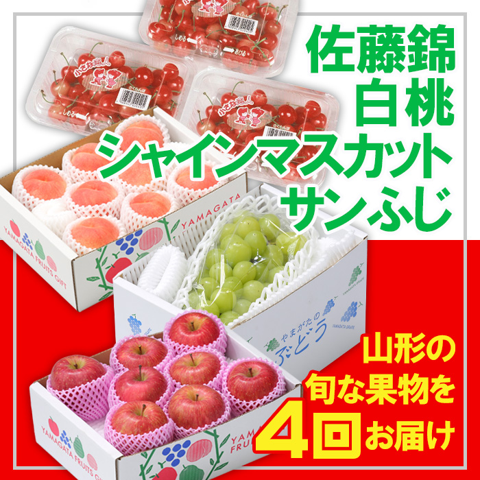 【定期便4回】☆フルーツ王国山形☆佐藤錦・白桃・シャインマスカット・りんご 【令和7年産先行予約】FU23-940