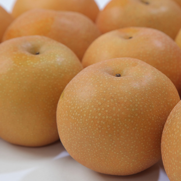 ☆フルーツ王国山形☆白桃 (やわらかくなる桃)・和梨食べ比べセット秀品 3kg【令和8年産先行予約】FS23-852