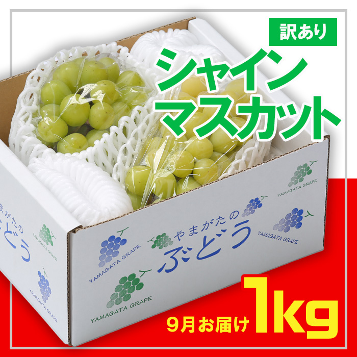 ☆フルーツ王国山形☆[訳あり] シャインマスカット1kg (1～3房)[9月お届け] 【令和6年産先行予約】FS23-853