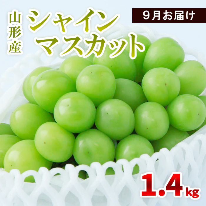 山形産 シャインマスカット 1.4kg(2～4房) 9月お届け 【令和7年産先行予約】FS23-855