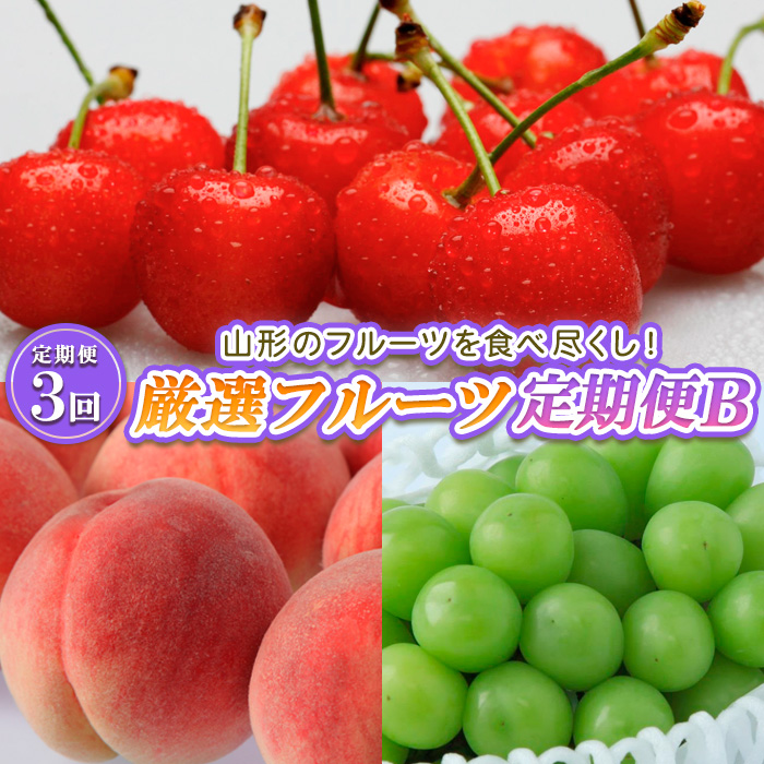 【定期便3回】山形のフルーツを食べ尽くし！厳選フルーツ定期便B 【令和7年産先行予約】FS23-858