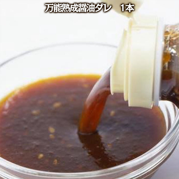 やたら売れてる焼肉屋の山形牛入りハンバーグ(120g×5)と万能熟成生醤油ダレ(1本)セット FZ25-942