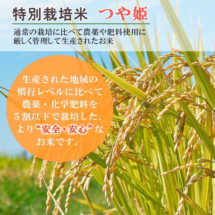 【定期便3回】特別栽培米 つや姫 5kg×3ヶ月(計15kg) FY23-748