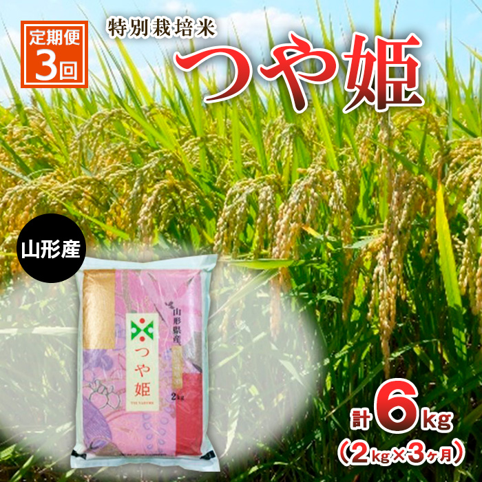 【定期便3回】特別栽培米 つや姫 2kg×3ヶ月(計6kg) FY23-749