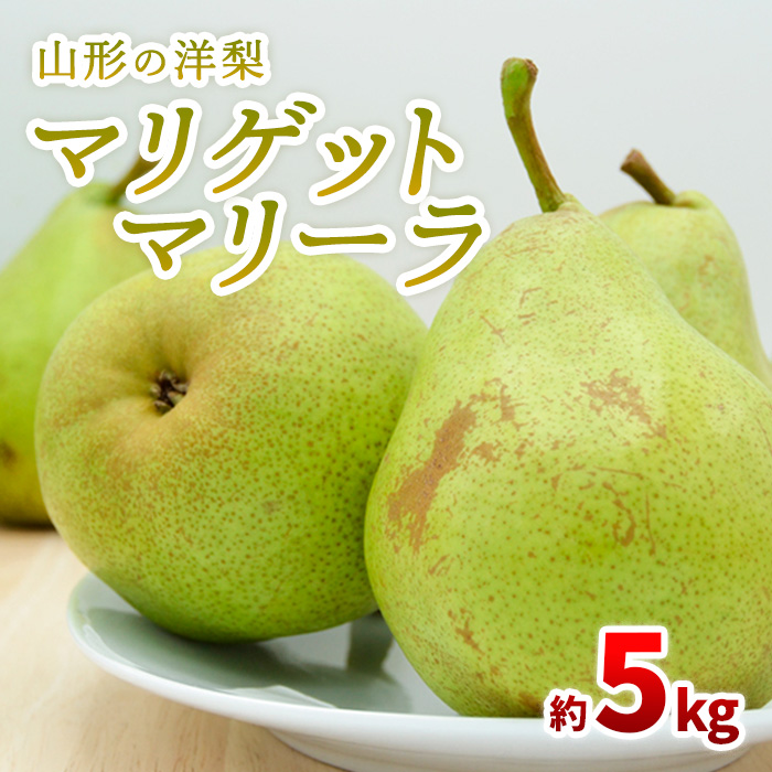 山形の洋梨 マリゲットマリーラ 秀品 約5kg(7～15玉) 【令和7年産先行予約】FS23-863