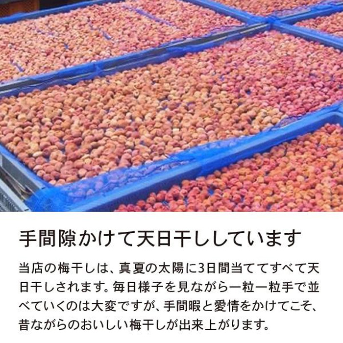 やまがた完熟 梅干し 小粒 1kg(200g×5袋) FY23-741