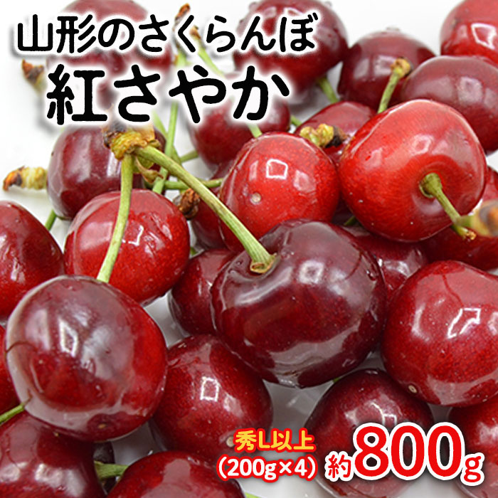 山形のさくらんぼ 紅さやか 約800g Lサイズ以上(200g×4) 【令和7年産先行予約】FS24-656