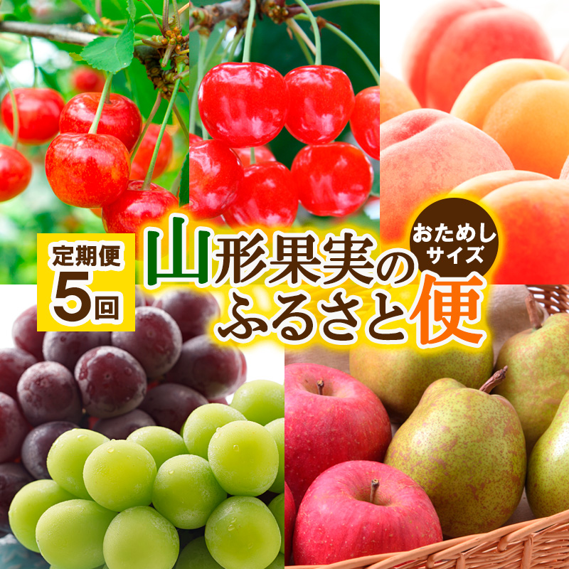 【定期便5回】山形果実のふるさと便 おためしサイズ【令和7年産先行予約】FU23-882