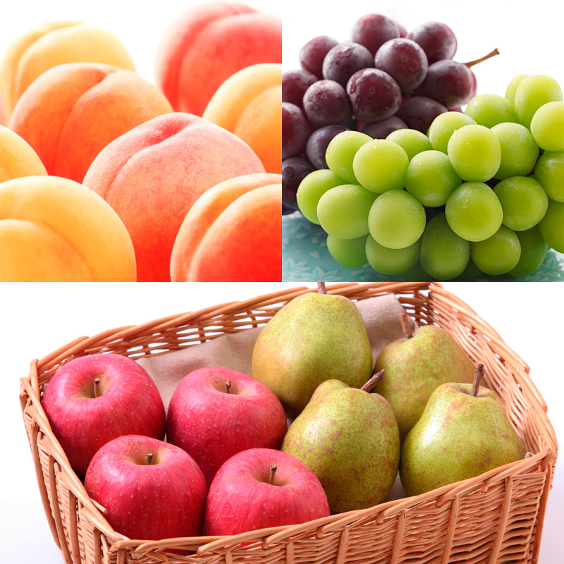 【定期便5回】山形果実のふるさと便 おためしサイズ【令和8年産先行予約】FU23-882