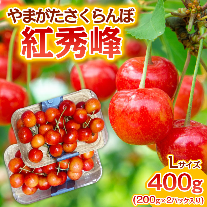 やまがた さくらんぼ 紅秀峰 Lサイズ 400g(200g×2パック入り) 1箱【令和7年産先行予約】FS23-888