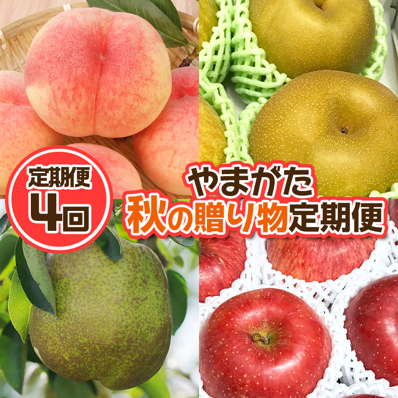 【定期便4回】やまがた 秋の贈り物定期便【令和8年産先行予約】FU23-877