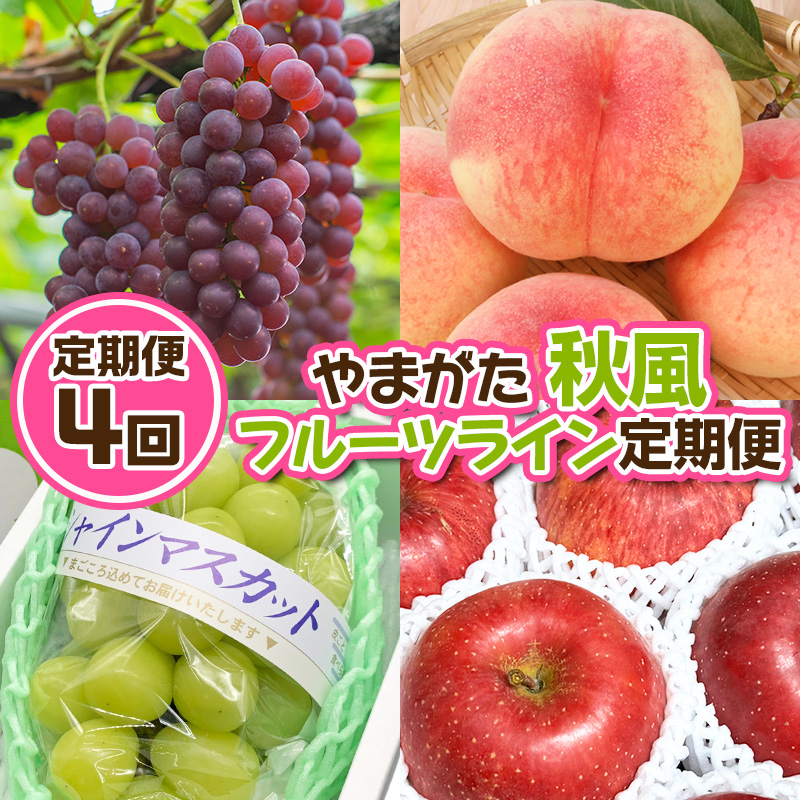 【定期便4回】やまがた 秋風フルーツライン定期便【令和8年産先行予約】FU23-878