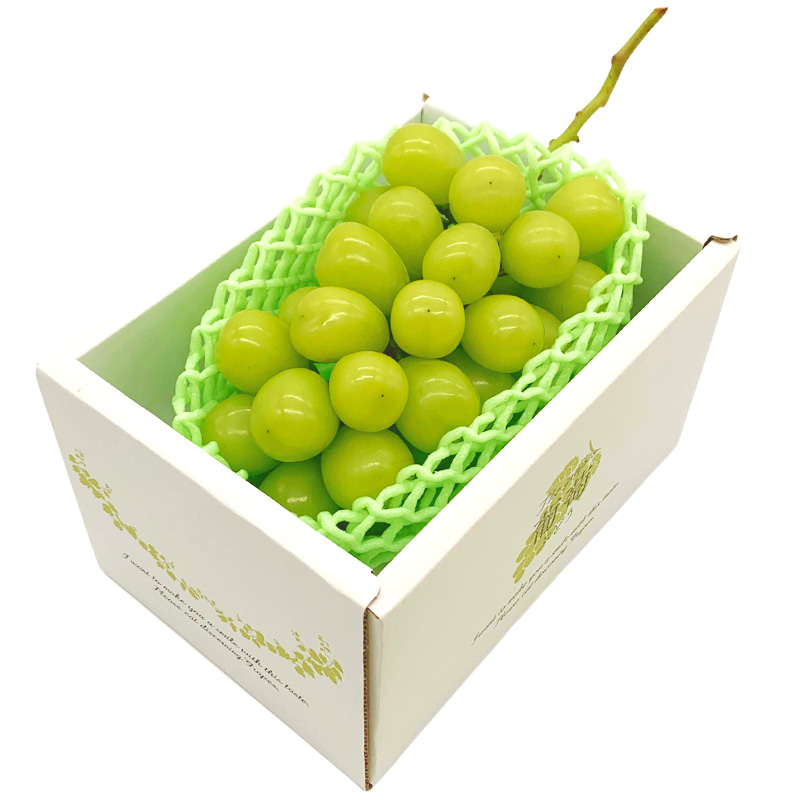 【定期便3回】やまがた 収穫の秋定期便【令和8年産先行予約】FS24-535