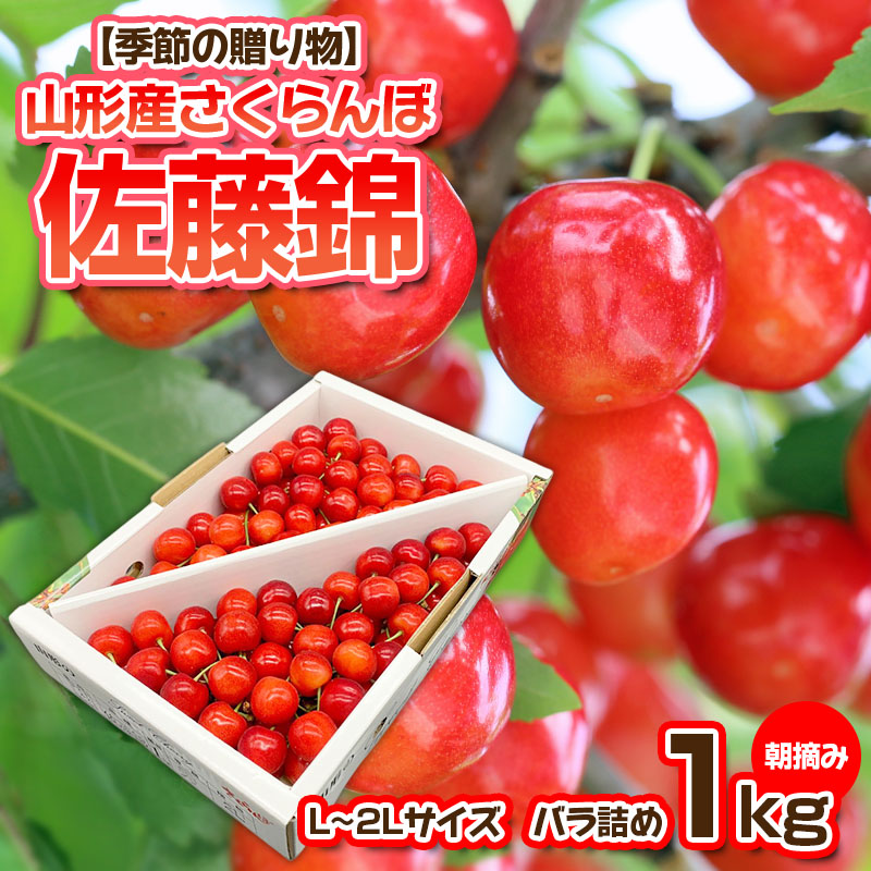 【季節の贈り物】さくらんぼ 佐藤錦 1kg バラ詰め 朝摘み【令和8年産先行予約】FS25-509