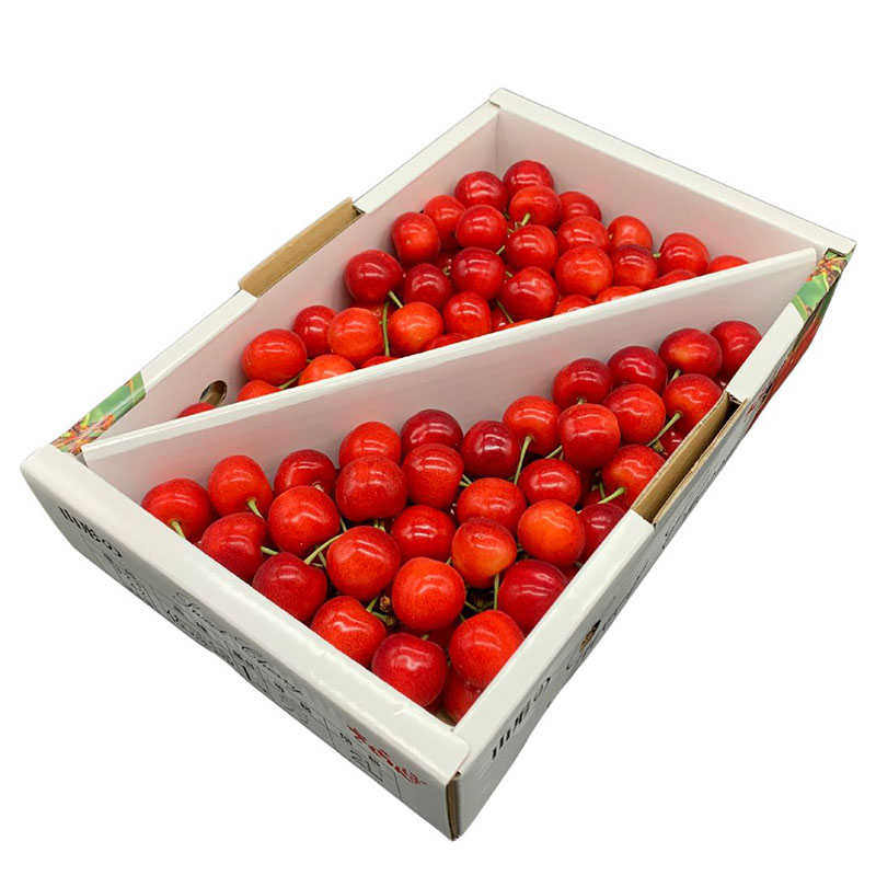 【季節の贈り物】さくらんぼ 佐藤錦 1kg バラ詰め 朝摘み【令和8年産先行予約】FS25-509