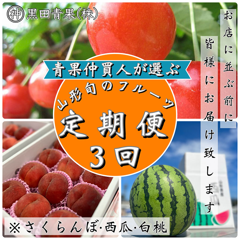 【定期便3回】青果仲買人が選ぶ！山形旬のフルーツ3選！[さくらんぼ・すいか・白桃]【令和7年産先行予約】FS24-597