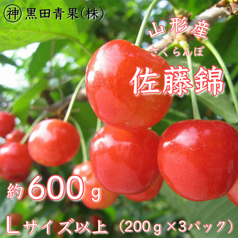 【定期便3回】青果仲買人が選ぶ！山形旬のフルーツ3選！[さくらんぼ・すいか・白桃]【令和8年産先行予約】FS24-597