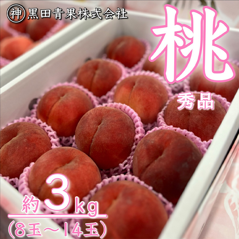 【定期便3回】青果仲買人が選ぶ！山形旬のフルーツ3選！[さくらんぼ・すいか・白桃]【令和8年産先行予約】FS24-597