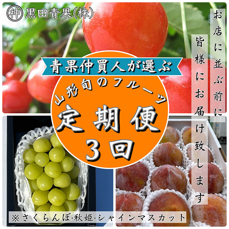 【定期便3回】青果仲買人が選ぶ！山形旬のフルーツ3選！[さくらんぼ・秋姫・シャインマスカット]【令和8年産先行予約】FS23-891
