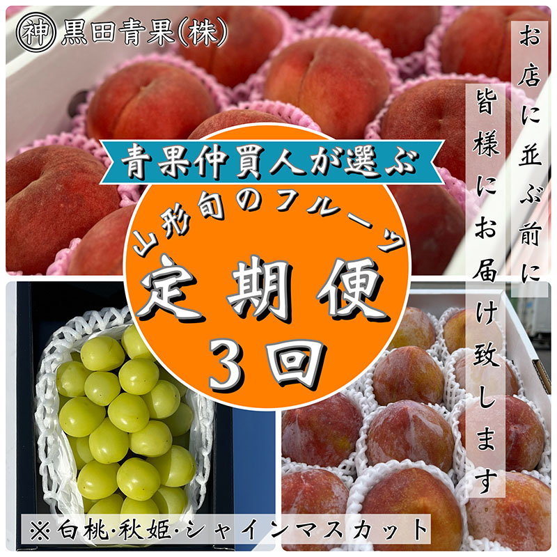【定期便3回】青果仲買人が選ぶ！山形旬のフルーツ3選！[白桃・秋姫・シャインマスカット]【令和8年産先行予約】FS24-599
