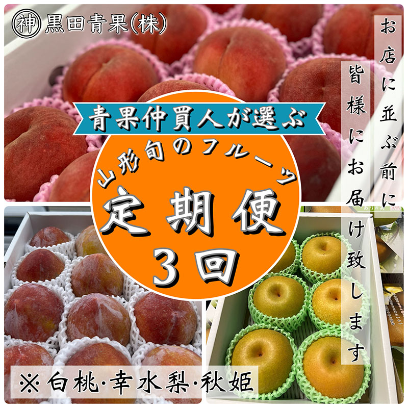 【定期便3回】青果仲買人が選ぶ！山形旬のフルーツ3選！[白桃・幸水梨・秋姫]【令和8年産先行予約】FS24-596