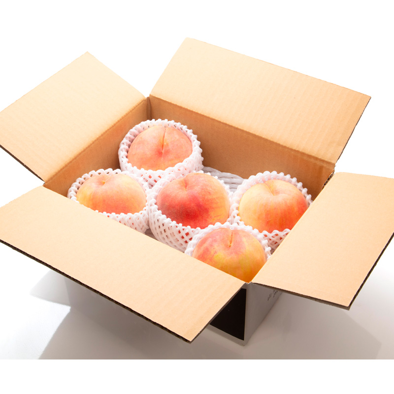 【定期便3回】人気ベスト3 ～山形代表 赤の宝石～【令和8年産先行予約】FS24-520