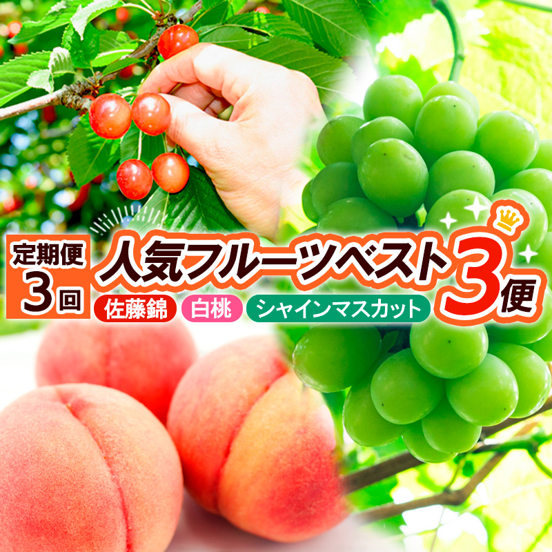 【定期便3回】人気フルーツベスト３便 (佐藤錦・白桃・シャインマスカット)【令和7年産先行予約】FS24-513