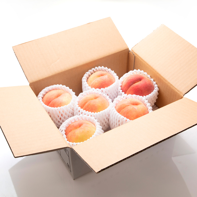 【定期便3回】人気フルーツベスト３便 (佐藤錦・白桃・シャインマスカット)【令和8年産先行予約】FS25-620