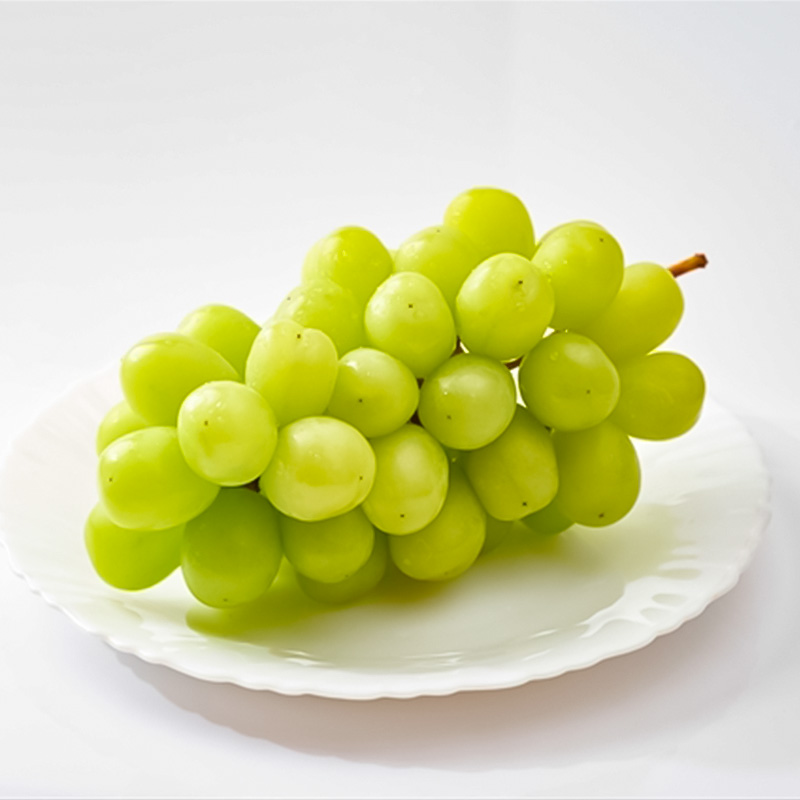 【定期便3回】人気フルーツベスト３便 (佐藤錦・白桃・シャインマスカット)【令和8年産先行予約】FS25-620