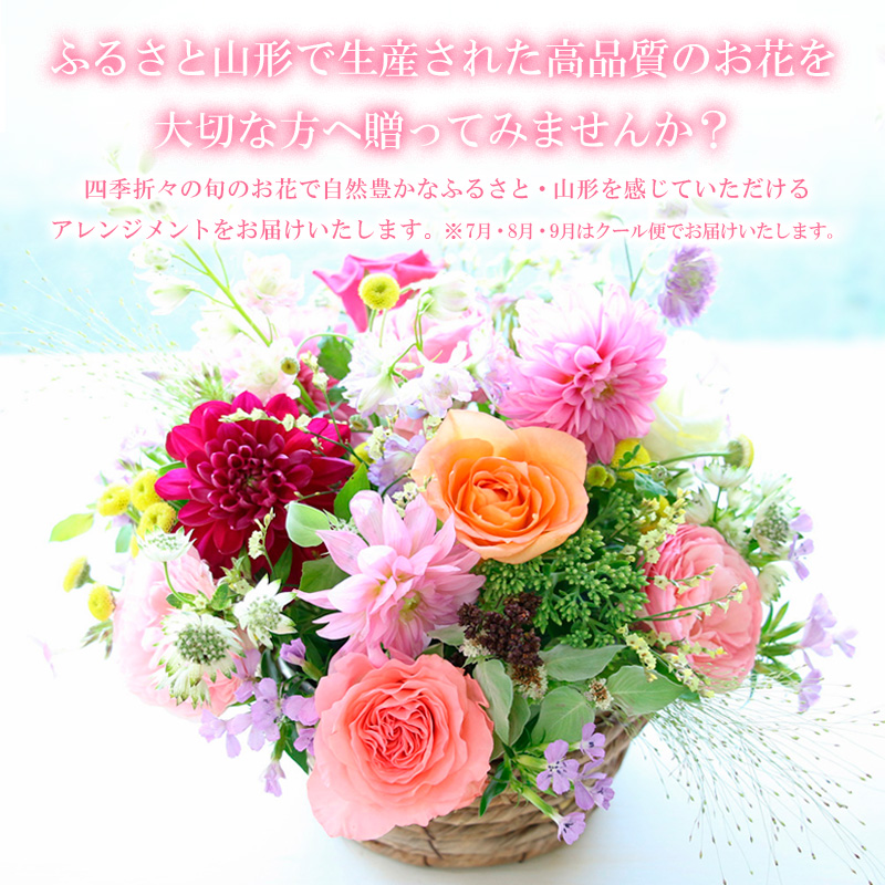 【定期便12回】ふるさと山形四季の花・アレンジメント FZ23-629
