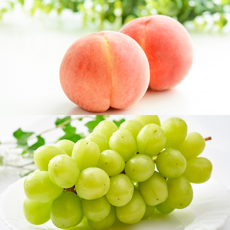 【定期便5回】令和フルーツ便り～旬を届ける～ 【令和8年産先行予約】FS25-614