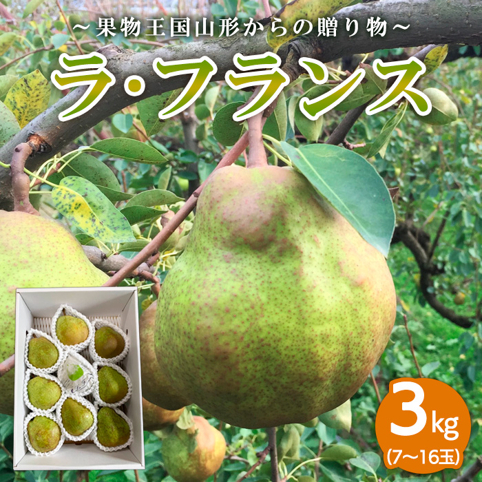 ～果物王国山形からの贈り物～ラ・フランス 秀3kg FZ26-740
