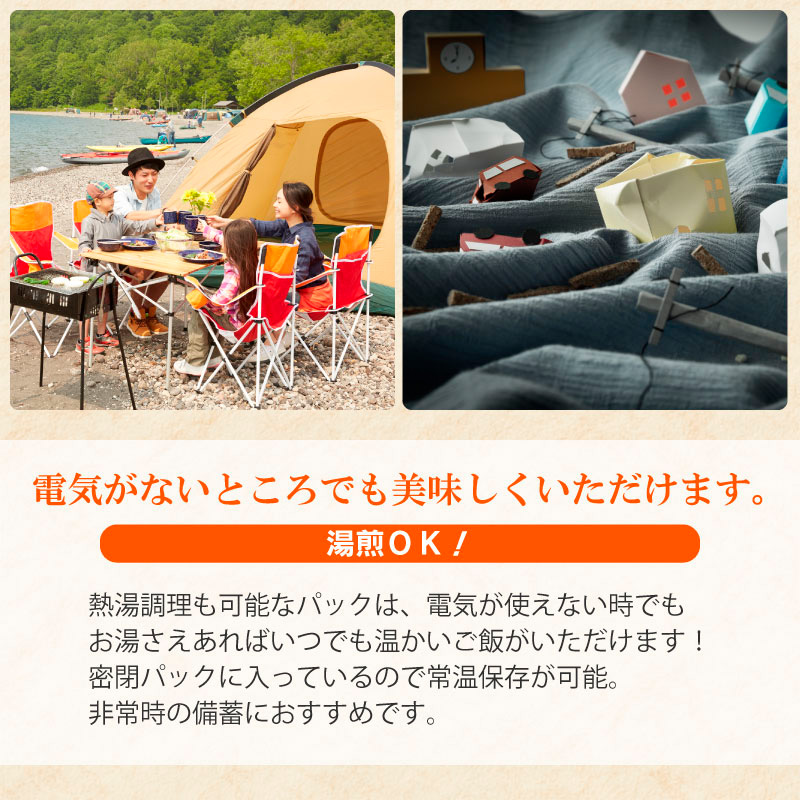 山形県 山形市産 はえぬき パックライス 180g×24P 24食入×1ケース FY24-040