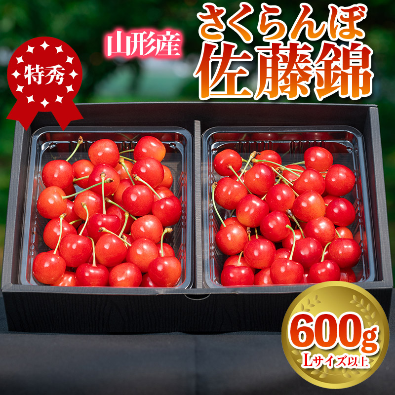 さくらんぼ 「佐藤錦」 600g 特秀品 Lサイズ以上 山形産【令和8年産先行予約】 FS24-669
