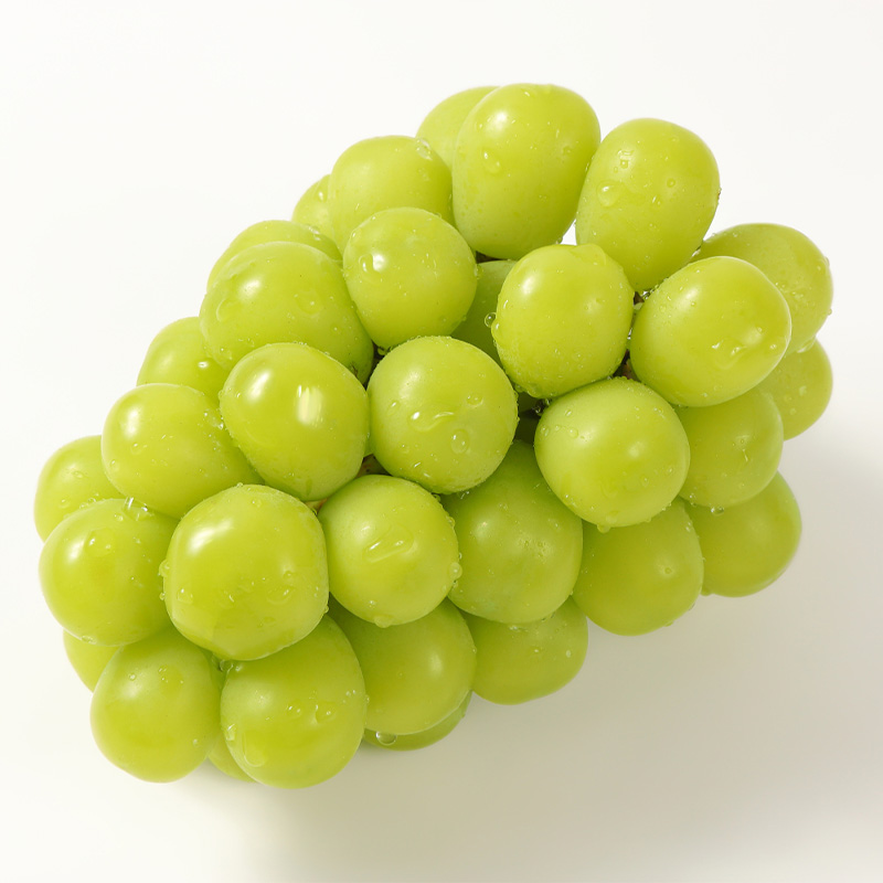 【厳選の1房】こだわりの シャインマスカット 600g以上 山形市産 (9月中旬～10月上旬順次発送)【令和8年産先行予約】FS24-543