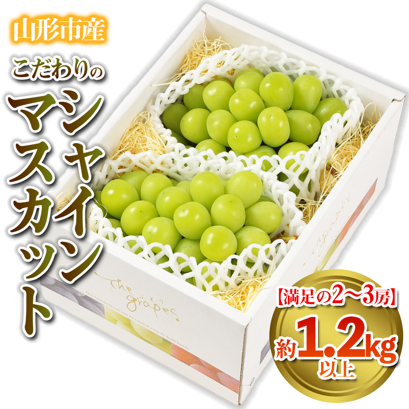 【満足の2～3房】こだわりのシャインマスカット 約1.2kg 山形市産 (9月中旬～10月上旬順次発送)【令和7年産先行予約】 FS24-544