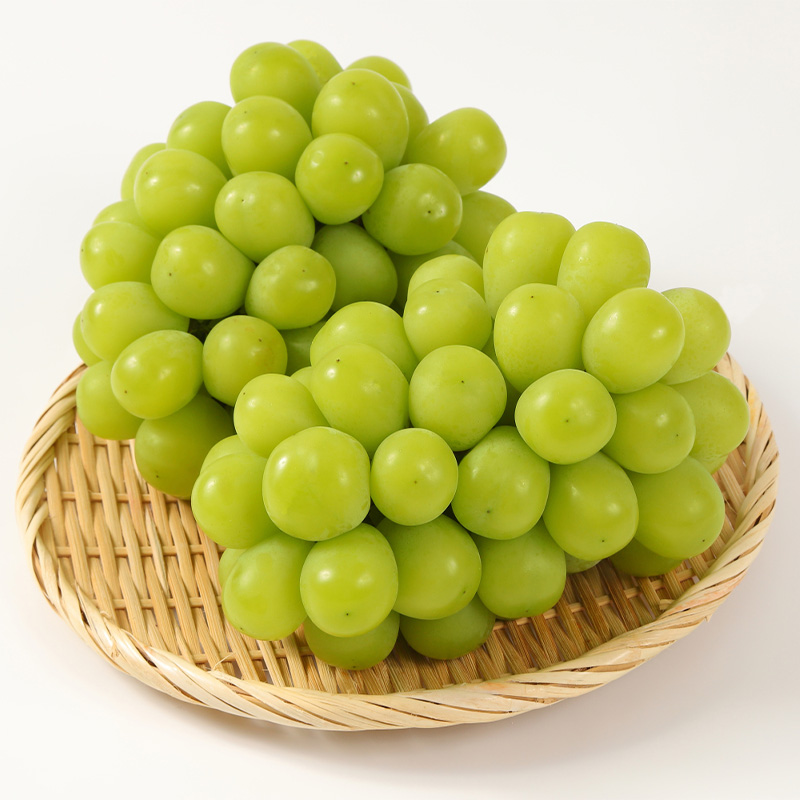【満足の2～3房】こだわりのシャインマスカット 約1.2kg 山形市産 (9月中旬～10月上旬順次発送)【令和8年産先行予約】 FS24-544