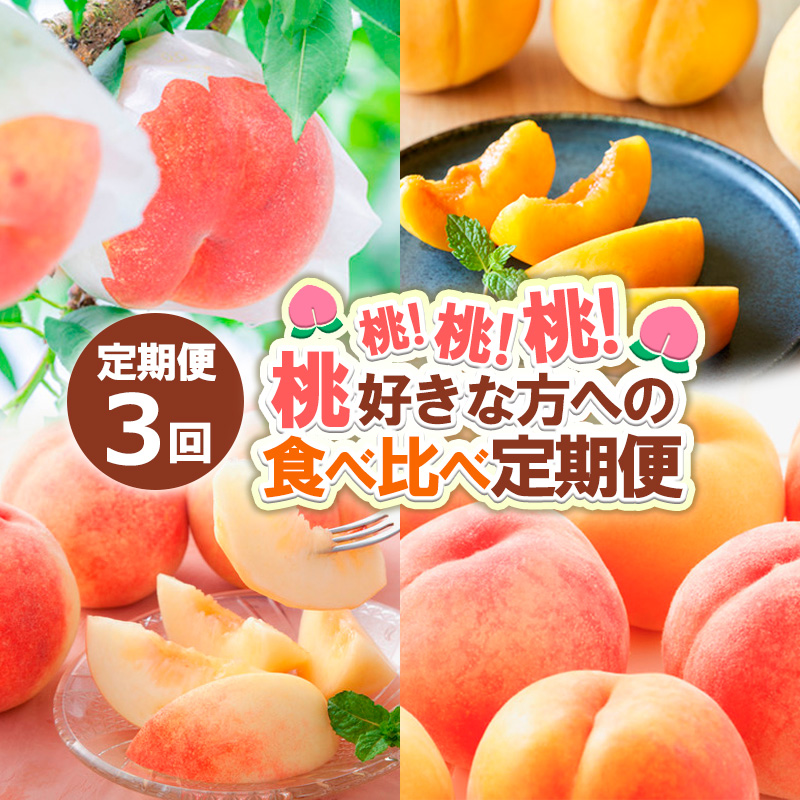 【定期便3回】桃！桃！桃！桃好きな方への食べ比べ定期便【令和8年産先行予約】 FS24-017